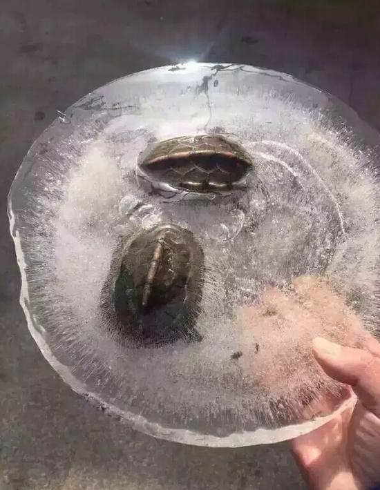 圖片來自網(wǎng)絡(luò)