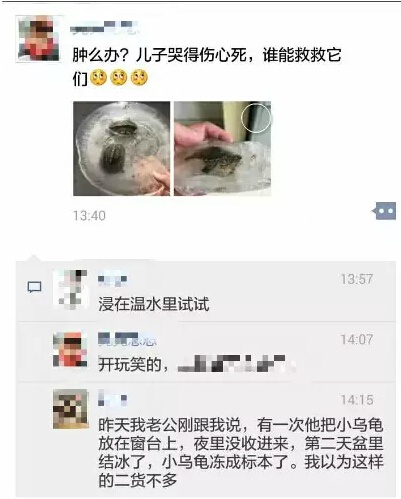 再仔細(xì)看看，額滴個(gè)蒼天??！可憐的小家伙，已經(jīng)被凍住了，四肢都露在龜殼外邊！看起來是一定沒救了！