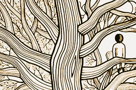 教育一定要做到“敬畏規(guī)律”