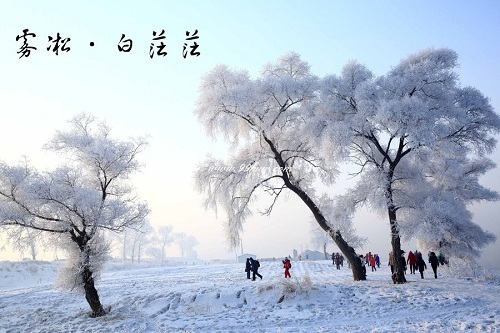 東北賞雪.jpg