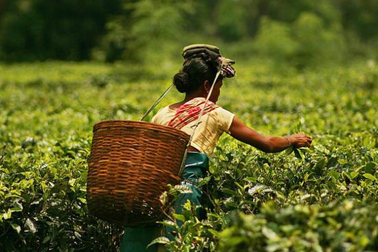 128817217_14585196732931n (1).jpg