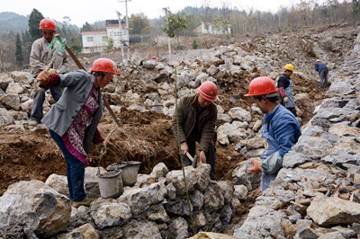 三峽庫區(qū)生態(tài)屏障區(qū)羊角鎮(zhèn)水土保持項(xiàng)目施工現(xiàn)場(chǎng) (7)_副本.jpg