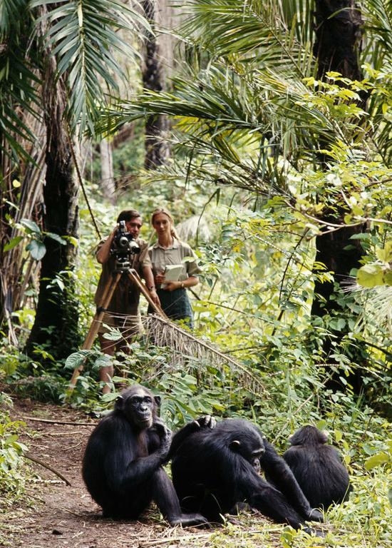 太空檔案：10張入選旅行者金唱片的國家地理攝影作品