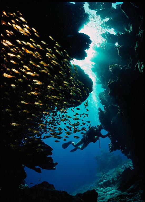 太空檔案：10張入選旅行者金唱片的國家地理攝影作品