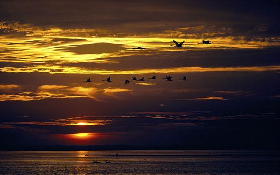 太空檔案：10張入選旅行者金唱片的國家地理攝影作品