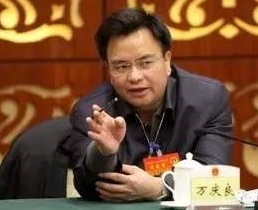 廣州市原市長萬慶良.jpg