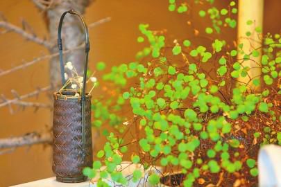 郭義一個90后的茶空間夢想