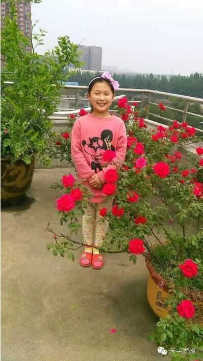 駐馬店一小學(xué)女孩摔傷昏迷 單親母親悲痛求助
