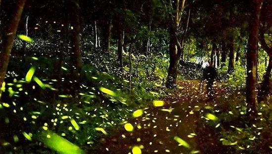 臺(tái)灣，嘉義