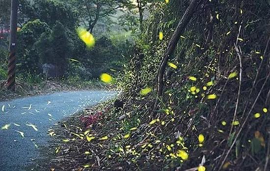 泰國(guó)，班洛姆苑村