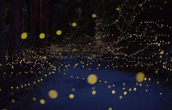 四川，天臺(tái)山