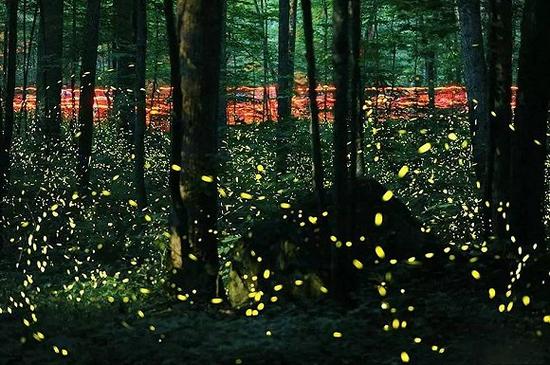 美國(guó)，大霧山國(guó)家公園