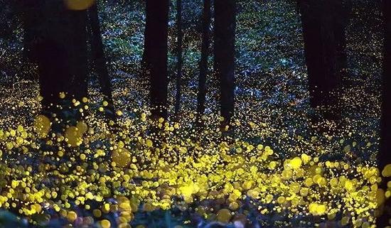 馬來(lái)西亞，瓜拉雪蘭莪