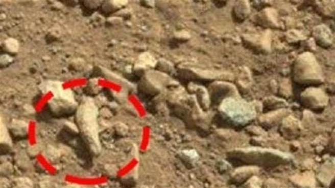 4、火星人手指。