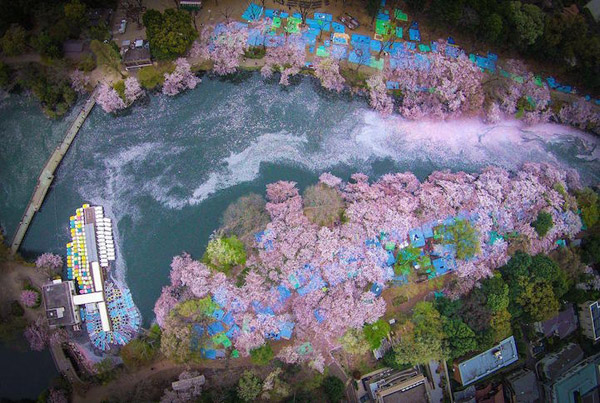 圖片默認(rèn)標(biāo)題