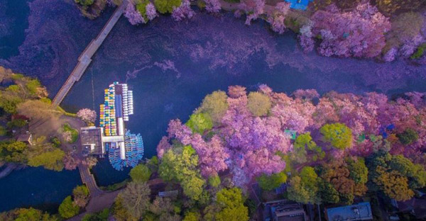 圖片默認(rèn)標(biāo)題