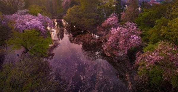 圖片默認(rèn)標(biāo)題