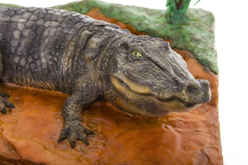 點(diǎn)擊查看大圖