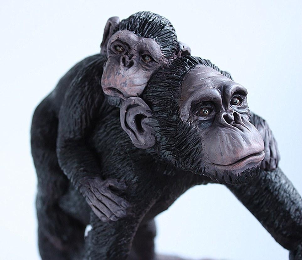 點(diǎn)擊查看大圖