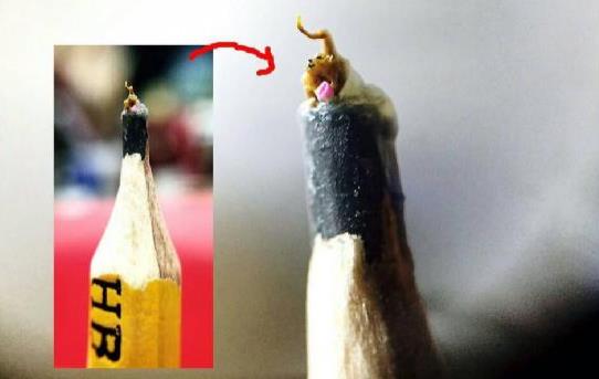 超微小的猴子（站在鉛筆芯上，尺寸：一毫米）.jpg