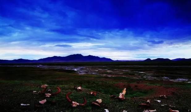 極致誘惑——阿爾金山