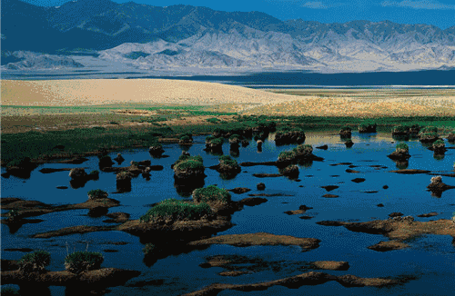 極致誘惑——阿爾金山