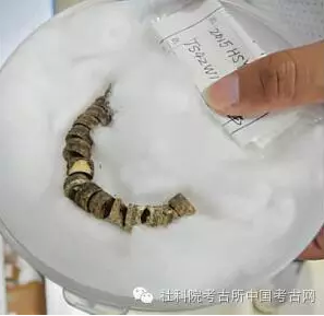 QQ圖片20160816105940.png