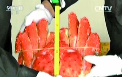 走私案中查獲的帝王蟹。