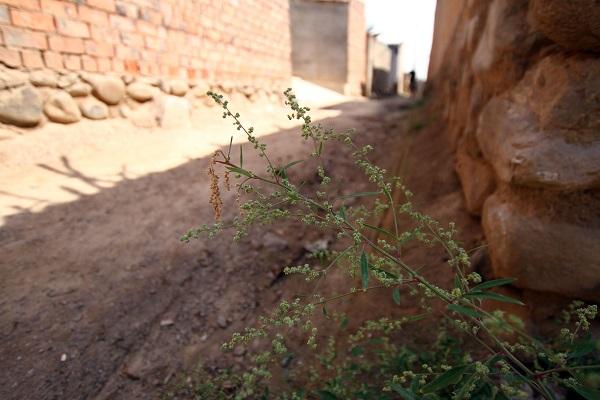 起底甘肅連環(huán)殺人嫌犯：曾向鄉(xiāng)鄰親口講述白銀兇案