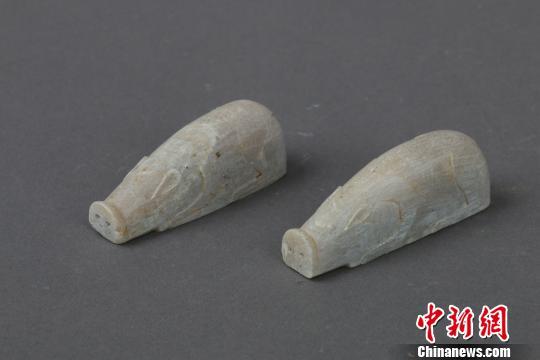 江西南昌發(fā)現(xiàn)一東晉家族墓葬 出土50余件文物