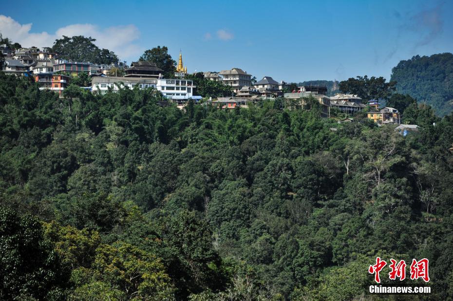 9月16日，云南瀾滄景邁山上的少數(shù)民族村寨。云南瀾滄景邁山，是普洱茶的主要產(chǎn)區(qū)之一，山上居住著拉祜族、布朗族、傣族等多個少數(shù)民族，這些少數(shù)民族世代制茶，景邁山得天獨厚的自然環(huán)境和茶人們精湛的手藝使這里的普洱茶遠(yuǎn)近聞名。據(jù)景邁山翁基村布朗族村民介紹，他們的家庭年收入達(dá)到40萬元左右，這在當(dāng)?shù)貙儆谥械仁杖胨?。?jù)公開資料顯示，景邁山的少數(shù)民族種茶有近2000年的歷史。是普洱茶的原生地之一。 中新社記者 任東 攝