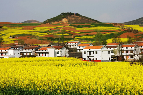 鄉(xiāng)村風(fēng)景 夏永光攝.JPG