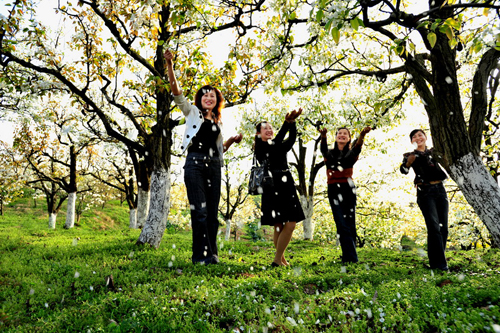 花海感春 李永杰攝.jpg