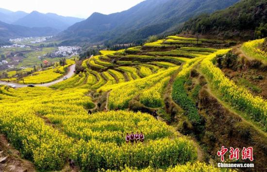 點(diǎn)擊進(jìn)入下一頁