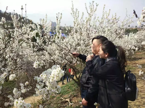 QQ圖片20170308230553.png