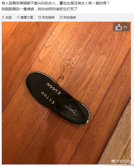 陳喬恩拿香奈兒拍蟑螂