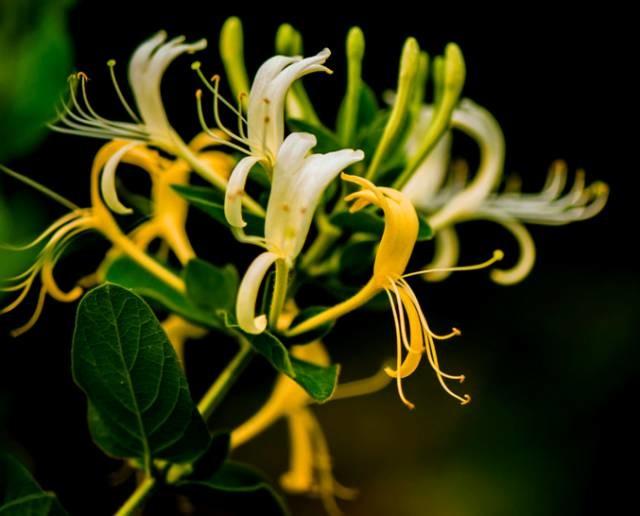 長期23點以后睡 小心這7個地方先壞！