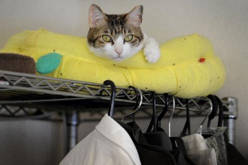 點(diǎn)擊進(jìn)入下一頁