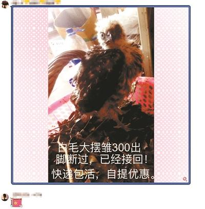 點(diǎn)擊進(jìn)入下一頁