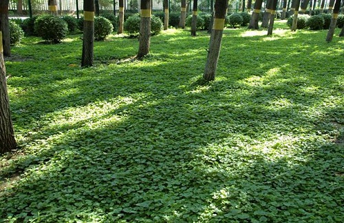 05.jpg