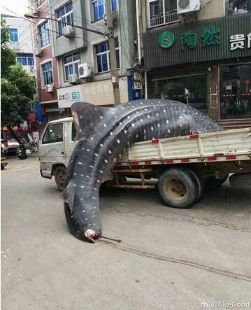 QQ截圖20170908122700.jpg