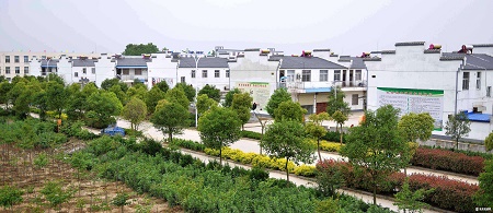 1 - 副本 - 副本 - 副本.jpg