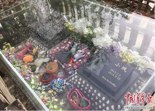 QQ截圖20180516083723.jpg