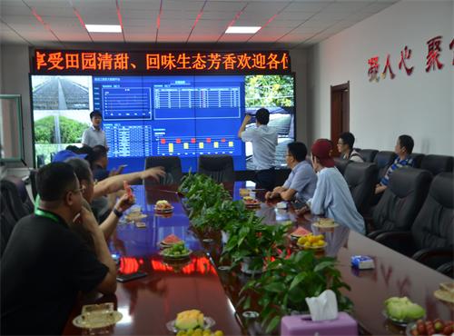 賓縣3.jpg