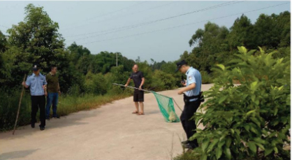 打狗隊(duì)在處理犬只。? 成都商報(bào) 圖