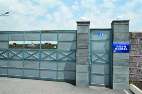 2 8.23 領(lǐng)物第一天現(xiàn)場報道&賽事服務(wù)70.jpg