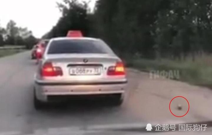 乘客在出租車上向窗外亂丟垃圾，結(jié)果被司機(jī)當(dāng)“垃圾”丟掉
