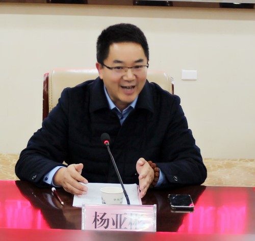 5.安徽巨成中和文化旅游綜合開發(fā)有限公司董事長(zhǎng)楊亞彬講話_副本.jpg