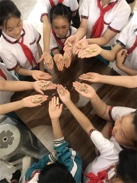 微信圖片_20190604093640.jpg