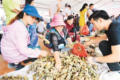 6月7日，廣西靖西市傳統(tǒng)端午藥市在靖西市城區(qū)舉行，當(dāng)?shù)厝罕娂熬肝髦苓吙h市的藥農(nóng)紛紛將自采自種的草藥拿到藥市出售，藥材交易尤為活躍。圖為群眾在選購藥材。 趙京武攝（人民視覺）